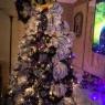 Árbol de Navidad de Nikki Iavarone  (Erie,Pa)