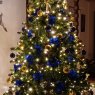 Angels of Heaven's Christmas tree from USA Nebraska