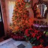 Weihnachtsbaum von ARACELI LILI MONROY ARELLANO (MEXICO)