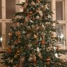 Terrence OBrien's Christmas tree from Berlin, Germany