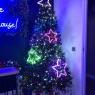 Lyndsey Jameson 's Christmas tree from London