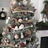 Fiona 's Christmas tree from San Diego 