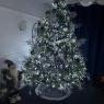 michael lowe's Christmas tree from Wigan, England