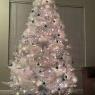 Ashley 's Christmas tree from Ohio
