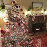 Weihnachtsbaum von Tim, Kassidy, and Finn (Asheville NC USA)