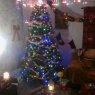 june robillard's Christmas tree from black lake sk