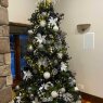 Weihnachtsbaum von Alana Arnold (Spruce Grove, AB, Canada)