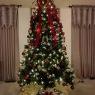 Red Divine 's Christmas tree from Fredericksburg, VA, USA