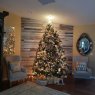 Rosie's Christmas tree from Tampa Bay, Florida USA