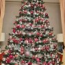 Damian Smith's Christmas tree from Dublin, Ireland