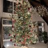 Robs 20 foot Tree's Christmas tree from Cranston RI