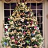Árbol de Navidad de Robert DePetro (Douglas, MA  USA)