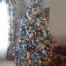 Carla's Christmas tree from Massillon, Ohio