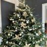 Lana Damiani 's Christmas tree from Ludwigshafen Germany