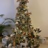 Raïssa 's Christmas tree from Abudhabi 