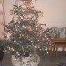 Shannon 's Christmas tree from United kingdom