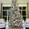 Dianna's Christmas tree from Detroit, MI