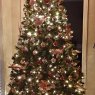Sam Shannon's Christmas tree from Monroe, GA, USA