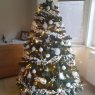White Christmas's Christmas tree from Namur, Belgium