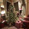 Stevie Johnson's Christmas tree from Fort Lee, NJ