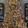 Barrington Manor's Christmas tree from Ohio