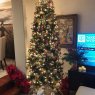 Andrew J Frank's Christmas tree from United States
