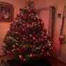 Jeremy McKee's Christmas tree from Norwich NY