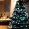 Antonio 's Christmas tree from Malaga, España