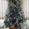 Henry Schucht's Christmas tree from Makakilo Hawaii