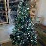 Josh and Brooke's Christmas tree from Towcester, UK