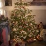 Weihnachtsbaum von Jenny Mackenberg (Duisburg)