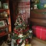 Weihnachtsbaum von Angeles Nicolini (Gualeguaychú-Entre Rios-Argentina )