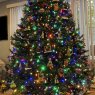 FBJ 's Christmas tree from Jersey City, NJ