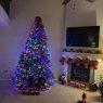 Sapin de Noël de Penny's Tree (New Baltimore, MI)