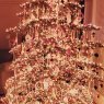 Árbol de Navidad de wade s nielsen (Durham California USA)