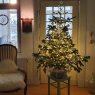 Árbol de Navidad de BRUSCHKE (ULM)