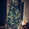 Katherine Boudreau's Christmas tree from New Brunswick