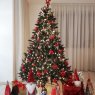 Vittoria Moretti's Christmas tree from Busto Arsizio, Va, Lombardia, Italiy