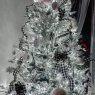 Winter white's Christmas tree from Fresno CA