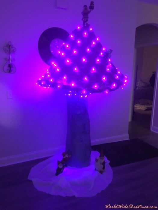 Christmas Mushroom  (Richmond Hill, GA. United States)