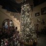 Sandra Toups's Christmas tree from Spring, TX, USA