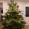 Lisa's Christmas tree from Germany