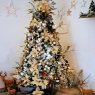 Alida's Christmas tree from Sinj, Croatia 