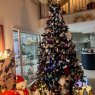 Favre Linda's Christmas tree from Vex, Suisse