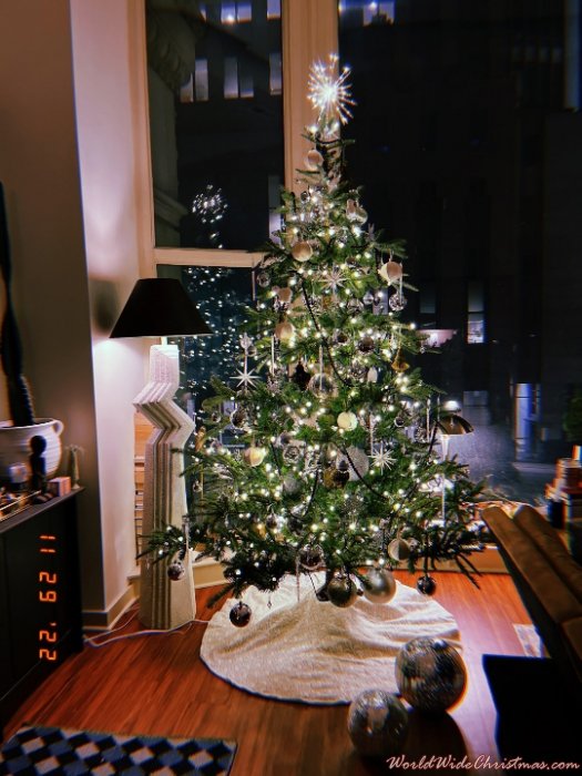 Nate and Ryan's Christmas Tree! (Omaha, NE, USA)