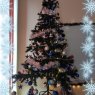 Denis, Class IX-U LMHAnina's Christmas tree from Anina, Caras-Severin County, Romania