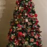 Weihnachtsbaum von Hammrich's Tree (Prescott, AZ, USA)