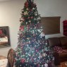 Ivone Prada's Christmas tree from Boca Raton, FL