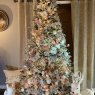 Charity Pippin's Christmas tree from Portland, TN, USA