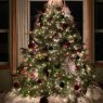 Christmas Magic 2022's Christmas tree from Lynden, Washington, USA